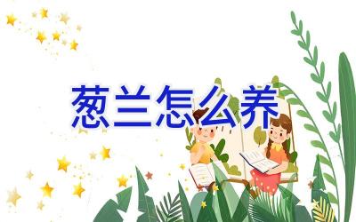葱兰怎么养插图