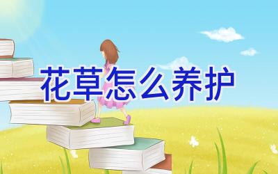 花草怎么养护插图