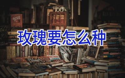 玫瑰要怎么种插图
