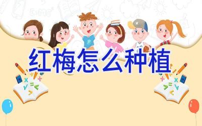 红梅怎么种植插图
