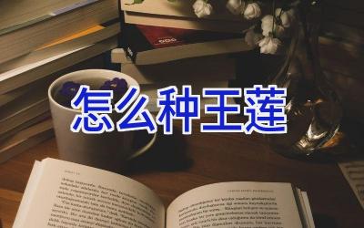 怎么种王莲插图