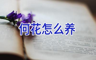 何花怎么养插图