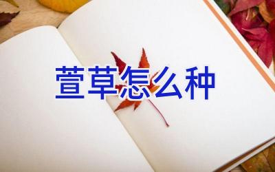 萱草怎么种插图 萱草怎么种插图