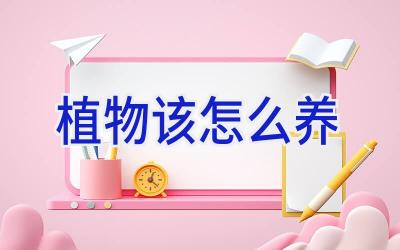 植物该怎么养插图