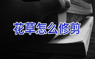 花草怎么修剪插图
