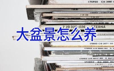 大盆景怎么养插图