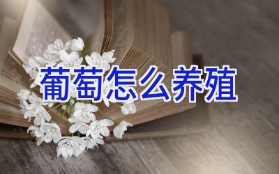 葡萄怎么养殖插图