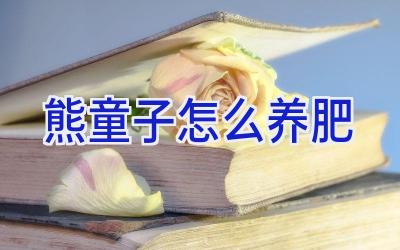 熊童子怎么养肥插图