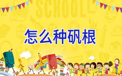 怎么种矾根插图