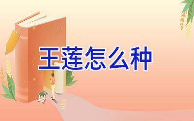 王莲怎么种插图
