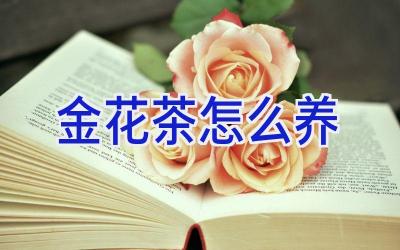 金花茶怎么养插图 金花茶怎么养插图