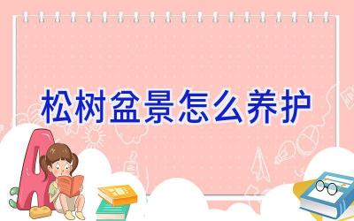 松树盆景怎么养护插图 松树盆景怎么养护插图