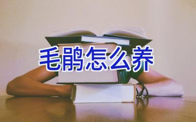 毛鹃怎么养插图