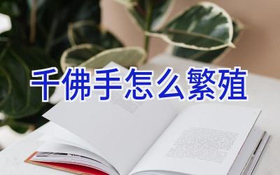 千佛手怎么繁殖插图