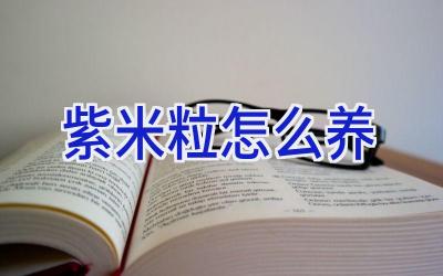 紫米粒怎么养插图