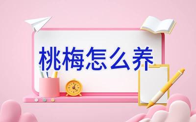 桃梅怎么养插图