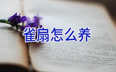雀扇怎么养插图