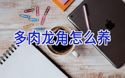 多肉龙角怎么养插图