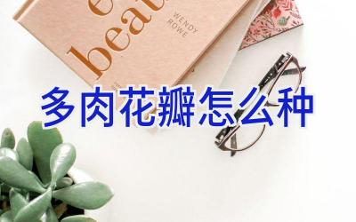 多肉花瓣怎么种插图