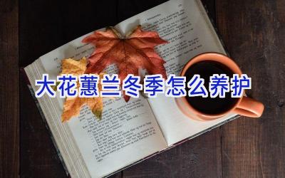 大花蕙兰冬季怎么养护插图