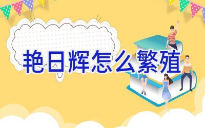 艳日辉怎么繁殖插图