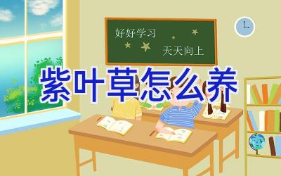 紫叶草怎么养插图 紫叶草怎么养插图