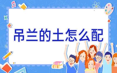吊兰的土怎么配插图