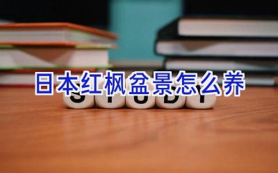 日本红枫盆景怎么养插图