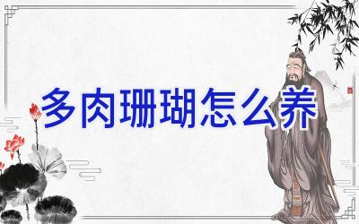 多肉珊瑚怎么养插图 多肉珊瑚怎么养插图