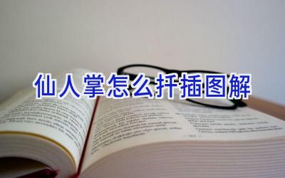 仙人掌怎么扦插图解插图