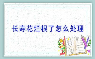 长寿花烂根了怎么处理插图