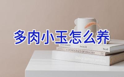 多肉小玉怎么养插图