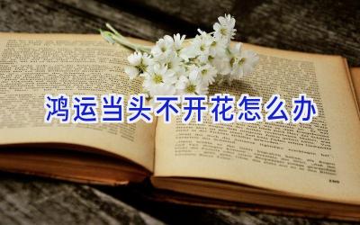 鸿运当头不开花怎么办插图 鸿运当头不开花怎么办插图