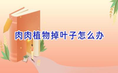 肉肉植物掉叶子怎么办插图