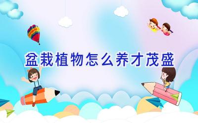 盆栽植物怎么养才茂盛插图 盆栽植物怎么养才茂盛插图