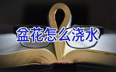 盆花怎么浇水插图 盆花怎么浇水插图