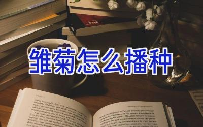 雏菊怎么播种插图 雏菊怎么播种插图
