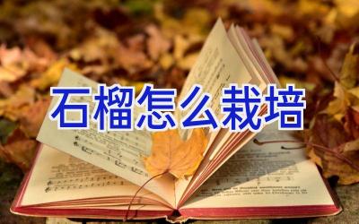 石榴怎么栽培插图