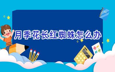 月季花长红蜘蛛怎么办插图