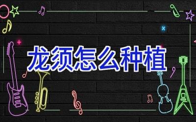龙须怎么种植插图 龙须怎么种植插图