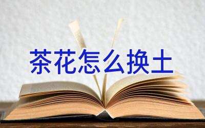 茶花怎么换土插图 茶花怎么换土插图