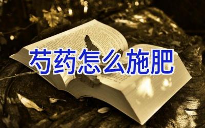 芍药怎么施肥插图 芍药怎么施肥插图