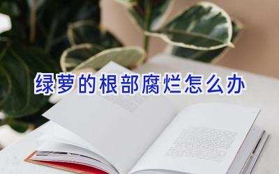 绿萝的根部腐烂怎么办插图