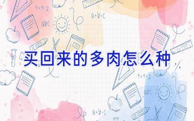 买回来的多肉怎么种插图