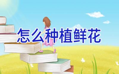 怎么种植鲜花插图 怎么种植鲜花插图