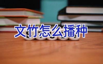 文竹怎么播种插图