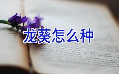 龙葵怎么种插图