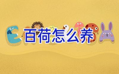 百荷怎么养插图