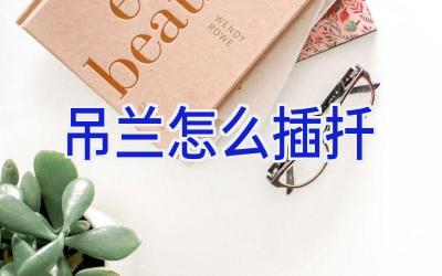 吊兰怎么插扦插图