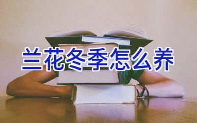 兰花冬季怎么养插图 兰花冬季怎么养插图